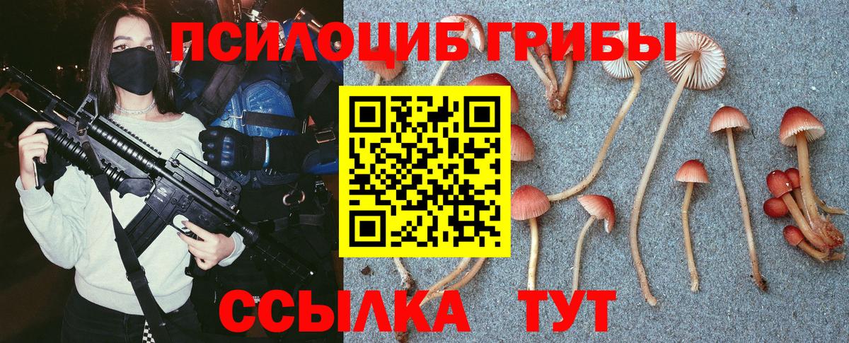 Ростов Великий  продажа наркотиков  Вход с VPN  Галлюциногенные грибы Magic Shrooms 