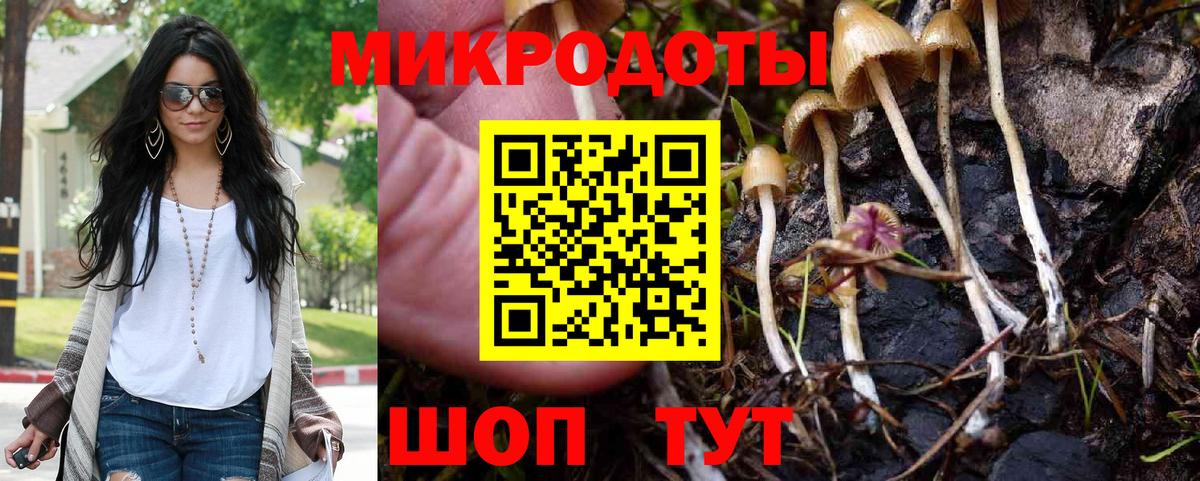 Псилоцибиновые грибы Psilocybe Ростов Великий